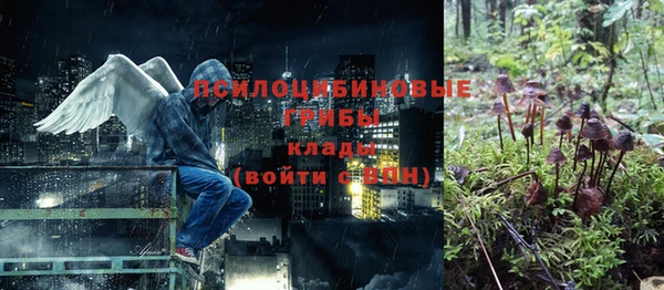 прущая мука Белокуриха