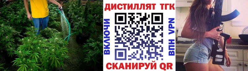 Дистиллят ТГК вейп с тгк  hydra   Мезень 